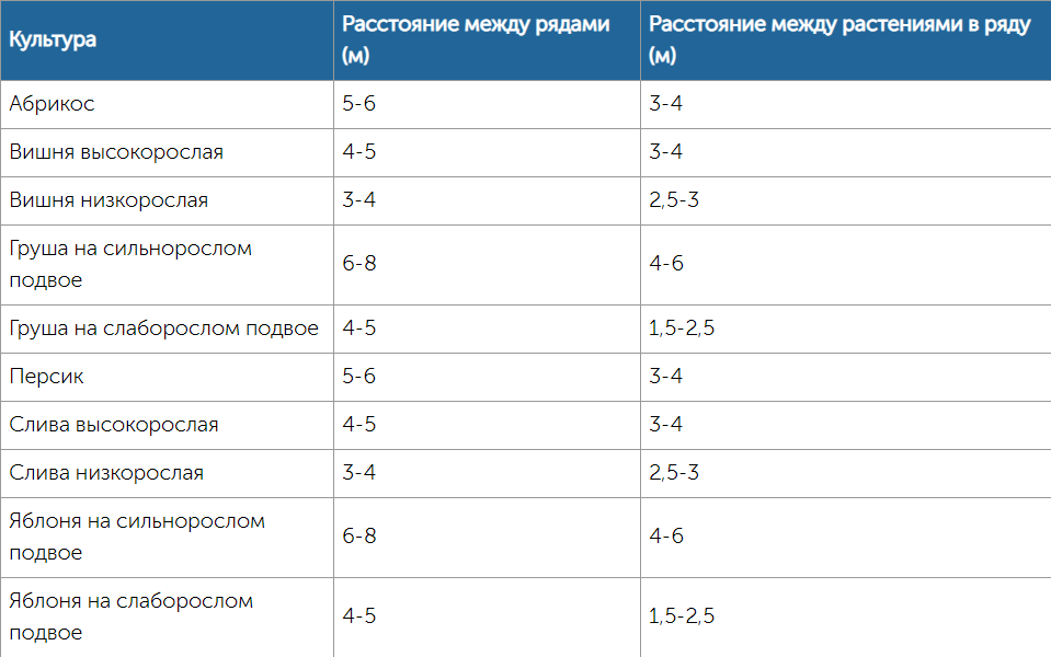 Вишня расстояние между деревьями. Расстояние при посадке плодовых деревьев. Расстояние между сливами.